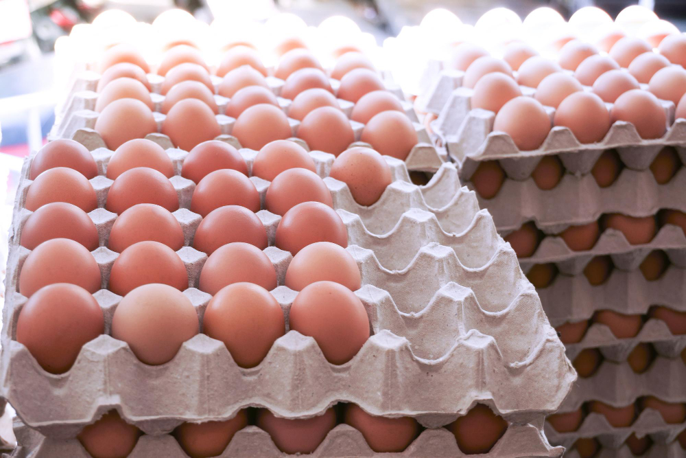 Attività di produzione di uova e pollame